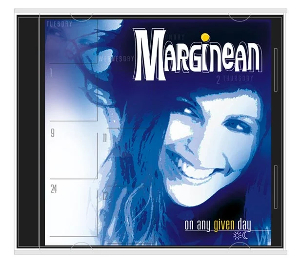 Pochette de l'album « On Any Given Day » avec une typographie affirmée et une illustration aux tons bleutés